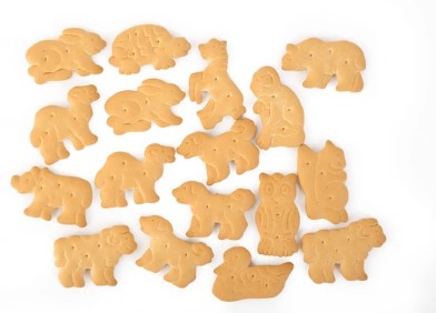 Animal Shape Biscuits