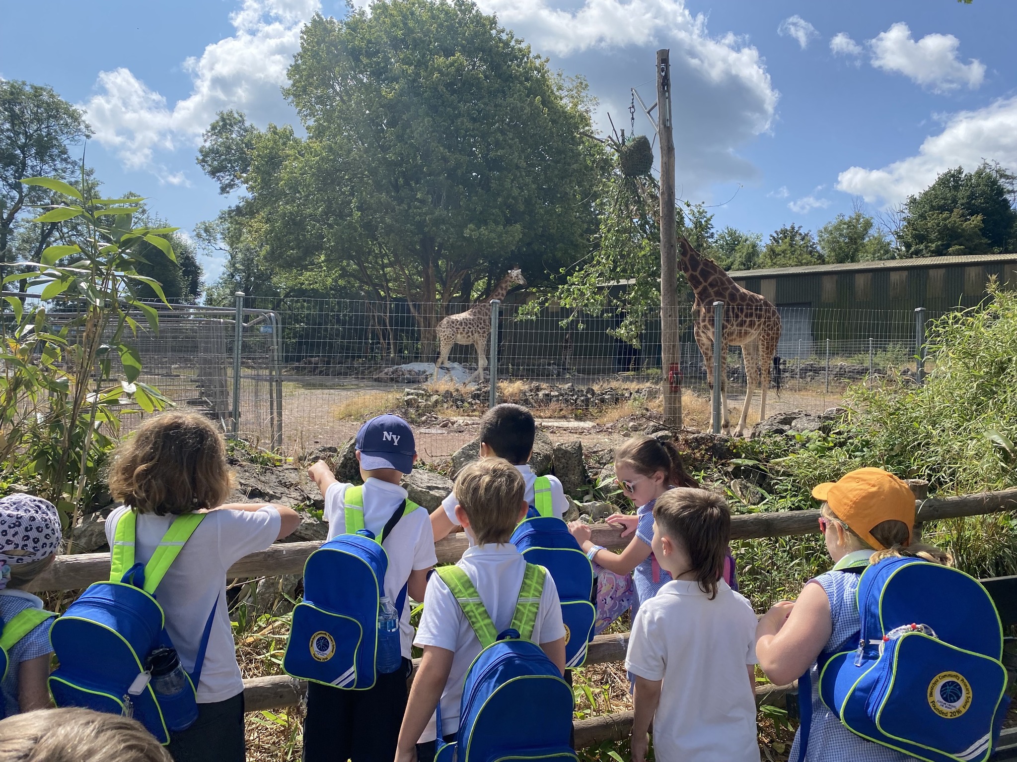 WCPS Y2 Zoo 07