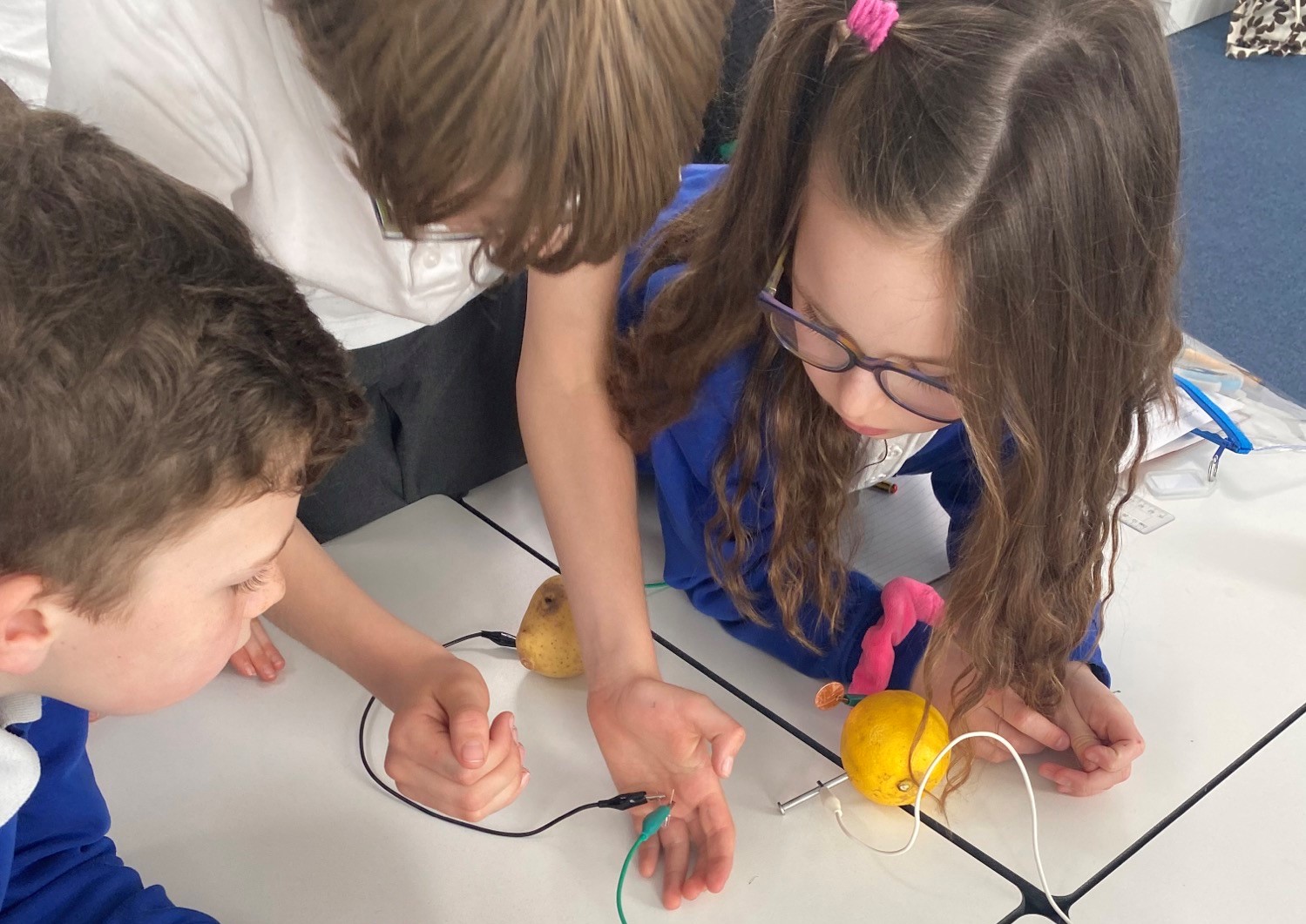 WCPS Y4 Science (2) L