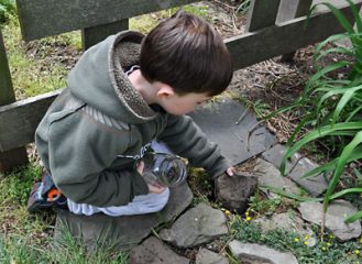 Bug Hunting Bug Hunting