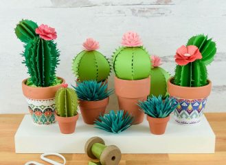 Cactus Craft Cactus Craft