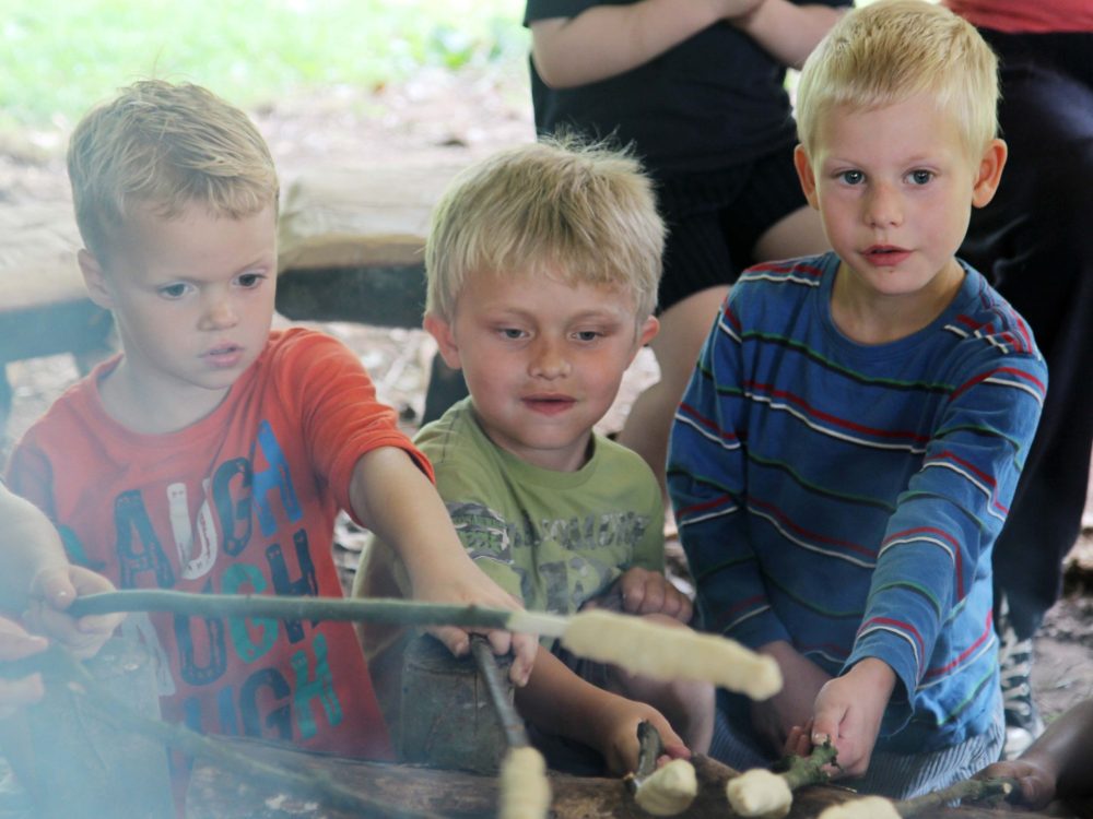 Forest-school11